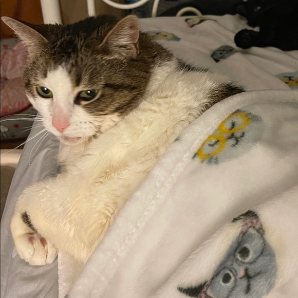 Meet your Posher, Candy - Picture 8 of 9